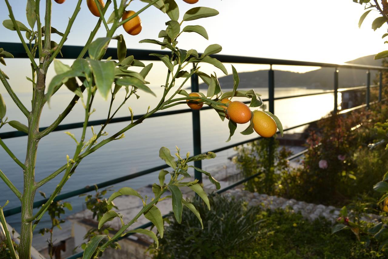 Villa Panorma ケパロ エクステリア 写真